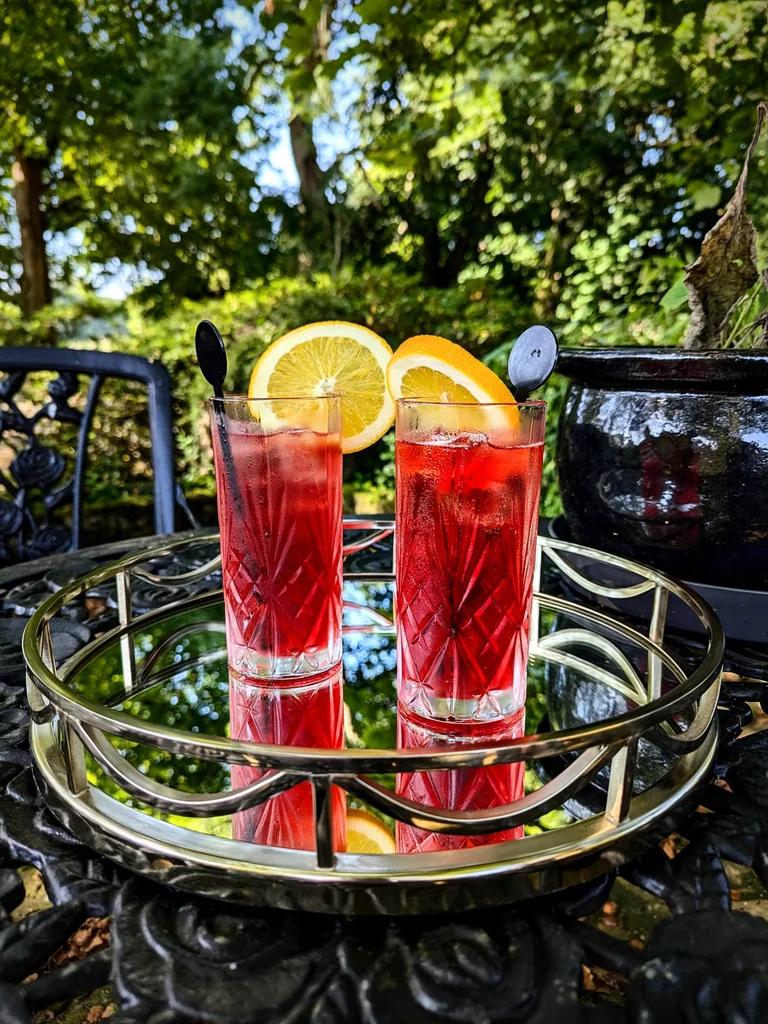 Classic Italian Campari Spritz