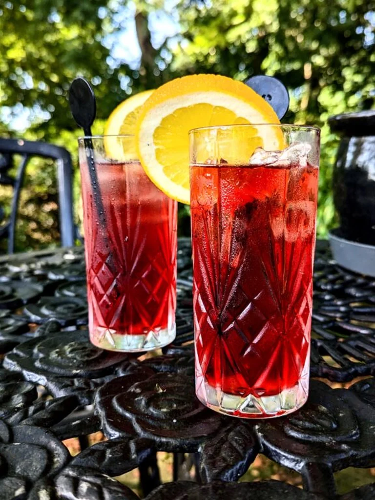 Classic Italian Campari Spritz