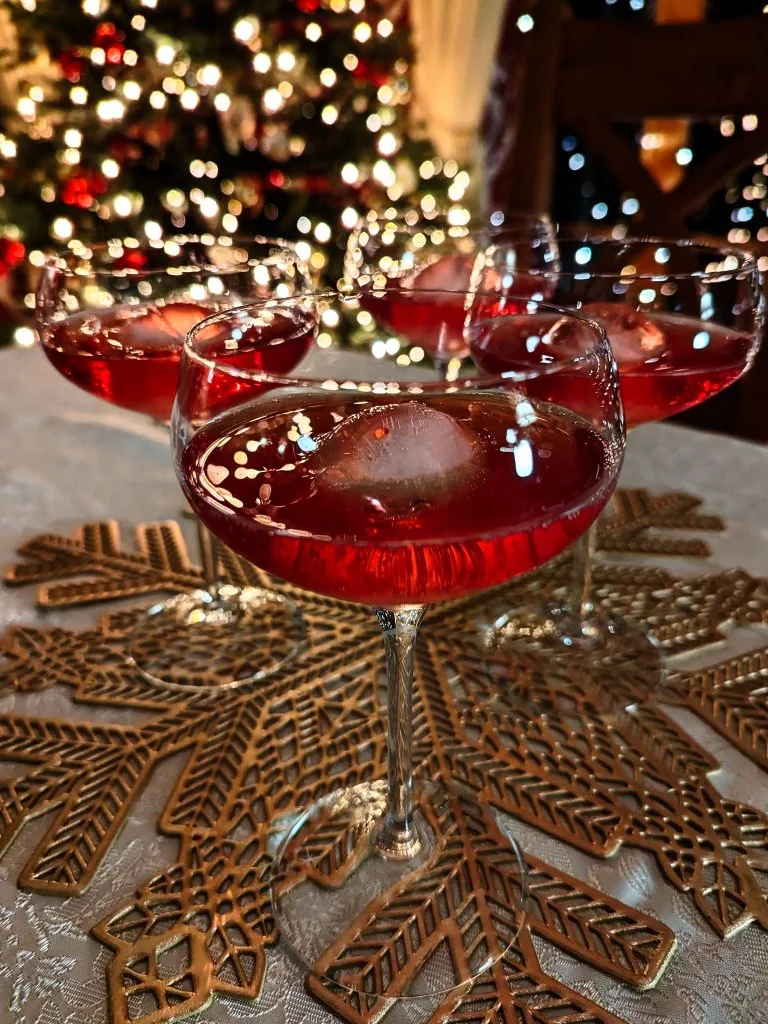 Pomegranate Fizz Cocktail